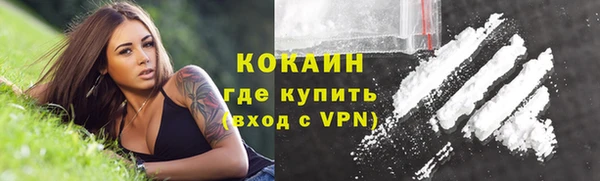 стаф Бородино