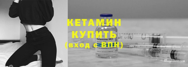 стаф Бородино