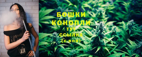 дурь Верея