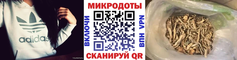 Псилоцибиновые грибы Psilocybe  KRAKEN как зайти  Кедровый 